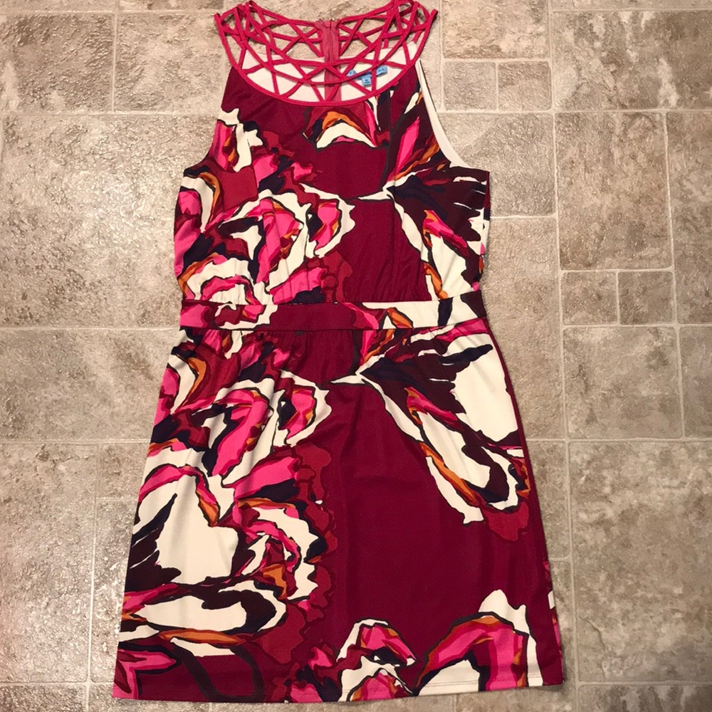 Beautiful Antonio Melani Dress